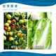 Guoguang Guoguang Tiandu 8% ethylamine, Chinese cabbage and jujube tree growth regulator, plant growth regulator 10g