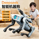 可优萌deepseek智能机器狗儿童玩具6-10岁黑科技机器人男女孩子生日礼物 DeepSeek+打电话【AI升级版+牵绳遛狗+水弹】 人工智能对话机器人高档实用礼盒
