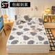 Shantou Lincun Mattress Sample 2025 Milk Velvet Mattress Upholstered Student Dormitory Mattress Bottom Padded Sheet Blanket Bed Cover Floral Rabbit Mat (Anti-static) 200x220cm-Single Mattress