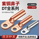 Copper nose copper connector copper wire nose lug 8/10/16/25 square tinned oil-blocking cable terminal copper color_DT-16