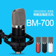 Fengxi duckbill condenser microphone mobile phone national karaoke online live broadcast microphone Douyin Kuaishou shouting wheat sound card set duckbill BM700 cantilever bracket + pop-up cover black