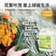 Plant bursting buds, buds, succulent leaf inserts, germination promotion, household flower growing fertilizer, old pile plant clear leaf fertilizer, old pile dry yellow leaves first aid, new buds grow, 2 barrels 5000ml