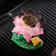 Color-changing tea pet ornaments can raise high-end creative Zen lotus golden toad tea play tea table tea table lucky tea accessories golden toad play dew