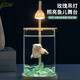Round household transparent small fish tank desktop 4K ultra-clear desktop fish tank decoration ornamental one-piece desktop ecological aquarium turtle tank goldfish tank ice blue glass landscape package