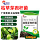 Nanhua Qianmu Bacillus subtilis agricultural microbial agent to prevent root rot water-soluble fertilizer to improve soil rooting feed addition Bacillus subtilis 1000g*1 bag