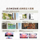 Skyworth Wallpaper TV A7F 85-inch ultra-thin mural art miniled smart flat-panel home appliance LCD trade-in national subsidy
