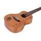 
UKU Meow Chai Meow Cute ukulele Beginner Adult Small Guitar Girl Ukli Lip Board Children Meow C-Meow C 23-inch Plate