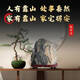 Authentische Taishan -Steine, natürliche Petrochemikalien, Wohnzimmer, Hintergrundsteine, Büro Feng Shui Steinschmuck 15828, sicher und sicher im Haus