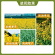 Rapeseed high yield, full grains, increased oil yield, increased production and income fertilizer, anti-lodging fertilizer, special foliar fertilizer for full grains, 500ml, 8 bottles