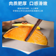 Fresh frozen abalone 500g fresh frozen abalone shelled abalone seafood aquatic non-ready-to-eat abalone pure meat shelled abalone 100g/bag*2
