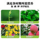 Stanley compound fertilizer 100 Jin Jin is equal to 0.5 kg. Agricultural fertilizer 50 Jin Jin is equal to 0.5 kg. Agricultural fertilizer, vegetable flower fertilizer, nitrogen, phosphorus, potassium, flower and fruit tree special type. 10 Jin Jin is equal to 0.5 kg. *Authentic product* Subcontracted delivery