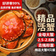 Live crabs Lake fresh Yangcheng hairy crabs whole female 2.5-2.8 pairs 8 pieces with rope feet removed fresh goods fresh seafood extra large crab gift box straight from the source
