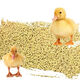 OUOETY small duck feed for ducks, special pet bird, small yellow duck, goose and chick, food feed for ducklings, medium and large duck feed 2Jin Jin is equal to 0.5kg (coarse particles)