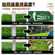Qingya simulated lawn carpet, fake turf bedding, plastic outdoor artificial court, artificial fence, kindergarten green floor mat, 3 cm, newly upgraded 11-pin encryption, high-quality B-grade model (1 meter wide, 6 meters long) 6 square meters