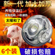 Yanmeng Insulation Lamp Farm Special Pig Breeding Chick Heating Lamp Piglet Rutin Chicken Warming Baking Lamp Bulb Warming Lamp Special Offer 6pcs Upgraded White Glossy 100W