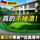 Qingya simulated lawn carpet, fake turf bedding, plastic outdoor artificial court, artificial fence, kindergarten green floor mat, 3 cm, newly upgraded 11-pin encryption, high-quality B-grade model (1 meter wide, 6 meters long) 6 square meters