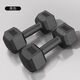 Shantou Lincun Hexagonal Dumbbell Men's Fitness Student 2kg 5kg Home 10kg Rubberized Arm Training Female Fitness Equipment Small Dumbbell Single 2Jin Jin is equal to 0.5kg (2Jin Jin is equal to 0.5kg -1kg -1kg is equivalent)
