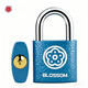 Plum blossom (BLOSSOM) padlock drawer lock tool box student dormitory cabinet lock meter box lock small lock BC2925 blue 25MM