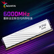 ADATA 24G/48G (24G*2) set DDR5 6000 frequency AI computer accessories desktop memory bar Longyao D500G RGB light bar C28 timing Hynix new Mdie C28/new Mdie D300 6000 white vest 24GB 1 bar (24G*1)