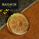 Banach Citrine Yin Yang Five Elements Bagua Pendant Taoist Pendant Amulet Necklace Jewelry Citrine Bagua Chain