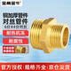 Golden Horn Taurus 6-point to 4-point reducing wire connector water pipe adapter direct double external wire connector brass water inlet hose accessories