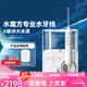 Philips (PHILIPS) high-end water magic cube tooth rinser HX3911HX3711 household cleaning water dental flosser portable HX3911 + 1 electric toothbrush + dental floss + mouthwash