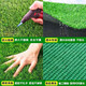 Fake turf simulated lawn green carpet outdoor artificial plastic artificial bionic outdoor insulation fence football field 2cm encrypted high-quality spring grass 4m wide 22m long