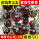 Black Tomato Seeds, Waterfall Tomatoes, Black Pearl Tomatoes, Small Tomato Seeds, Potted Cherry Tomato Fruit Seeds, Black Falls Cherry Tomato Seeds/pack, about 200 capsules, 5 packs