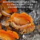 Zhuangyuanhai Dalian red clam meat 1 Jin Jin is equal to 0.5 kilograms, freshly peeled clam meat, blood clam meat, fresh, clean and sand-free, straight from the source