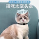 Tanbeiman cat hood cat hood clipper nail anti-scratch artifact anti-biting and anti-licking hood Elizabethan circle bath artifact L size hood suitable for 10-15 Jin Jin equals 0.5 kg big cats