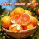 京鲜生 江西新余蜜桔 单果50-60mm 净重4.5斤 【精选家庭装】源头直发