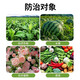 6% kasugamycin fungicide leaf spot, angle spot, rice blast, gummosis, citrus vegetable soft rot bacterial disease 1000g*1 bottle