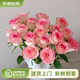 Yunnan flowers wholesale quality rose lily water fresh cut flowers for your girlfriend’s birthday gift straight from the source Elsa (Iron Head Princess) - 10 pieces, choose 2 pieces, no shipping fee