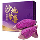 Chunfule Sand Purple Sweet Potato Straight from the Origin Sweet Potato and Sweet Potato Powder Glutinous and Sweet Seasonal Fresh Vegetables Are Digging and Found 5 Jin Jin is equal to 0.5 kg Selected package Hand-picked by experienced farmers Net weight 4.5 Jin Jin is equal to 0.5 kg