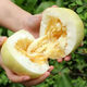 Gagatian Northeastern cantaloupe seeds, yellow melon fruit seeds, easy to grow in spring and autumn, high sugar content, old farm varieties, Gagatian seeds, 3 packs, about 300 grains