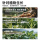 Dr. Xingchen Flower and Grass Compound Fertilizer 11-in-1 Plant Feast Gold Fertilizer Organic Fertilizer Vegetables, Fruits and Vegetables Universal Complete Nutrition Nitrogen, Phosphorus and Potassium Plant Feast Gold Fertilizer 500g*5 bags