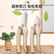 Stainless steel branch pruning shears for picking fruits, flowers and trees, garden fruit trees, flower branches, grafting, gardening scissors tools, pruning shears, branches/flower branches/fruit branches/potted plants