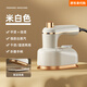 Pang Donglai Handheld Garment Ironing Mechanical and Electric Iron Mini Business Travel Portable Direct Plug Electric Small Green-Flat Garment Ironing Dual-Purpose National Standard