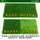 Fake turf simulated lawn green carpet outdoor artificial plastic artificial bionic outdoor insulation fence football field 3 cm newly upgraded encrypted thickened spring grass 2 square meters 1 meter wide * 2 meters long