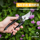 Deli (deli) pruning Teflon scissors pruning shears fruit tree pruning branches garden flowers special scissors floral gardening scissors 14mm gardening twig pruning shears-DL580200