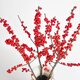 Red holly 3 branches