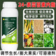 Brassinolide growth regulator 500g to protect flowers and fruit trees, cucumbers, citrus, and fruit-drop prevention plants