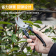 Deli (deli) pruning Teflon scissors pruning shears fruit tree pruning branches garden flowers special scissors floral gardening scissors 14mm gardening twig pruning shears-DL580200