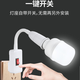 Bull pure sound direct plug LED ultra-bright household socket lamp with switch household energy-saving table lamp bedroom bedside lamp wall lamp plug-in small universal two-plug + 5 watt light bulb