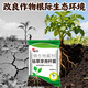Nanhua Qianmu Bacillus subtilis agricultural microbial agent to prevent root rot water-soluble fertilizer to improve soil rooting feed addition Bacillus subtilis 1000g*1 bag