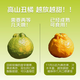 早熟新鲜丑橘应季新鲜水果酸甜多汁整箱包邮 5斤装