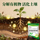 Nanhua Qianmu Bacillus subtilis agricultural microbial agent to prevent root rot water-soluble fertilizer to improve soil rooting feed addition Bacillus subtilis 1000g*1 bag