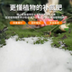 Urea nitrogen fertilizer for growing flowers, vegetables, fruit trees, green plants, household potted fields, general-purpose compound fertilizer, large package of chemical fertilizer, total nitrogen 46% 10Jin Jin equals 0.5 kg
