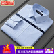 Youngor men's 100% cotton long-sleeved shirt 2025 summer new business casual professional formal wear free of charge 6623 thin blue and white stripes 42 recommended 160-175 Jin Jin equals 0.5 kg