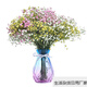 Gypsophila dried flower bouquet air-dried real flowers living room decoration new house decoration ornaments table flower arrangement small fresh orange Gypsophila-including diamond vase